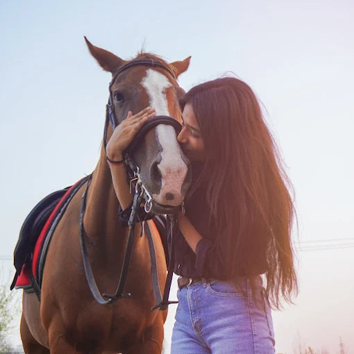 Horse Riding at Caffe Cavallo Sector 82 Faridabad