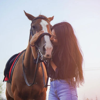 Horse Riding at Caffe Cavallo Sector 82 Faridabad