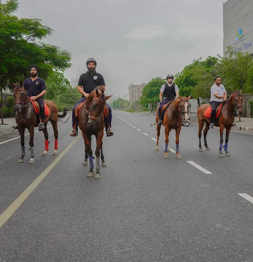 Horse Riding at Caffe Cavallo Sector 82 Faridabad