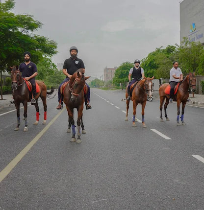Horse Riding at Caffe Cavallo Sector 82 Faridabad