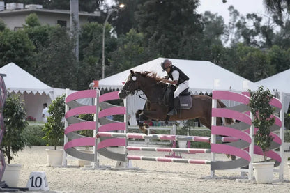 Horse Riding at Caffe Cavallo Sector 82 Faridabad