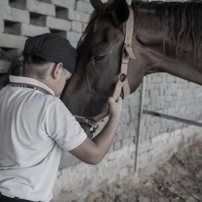 Horse Riding at Caffe Cavallo Sector 82 Faridabad