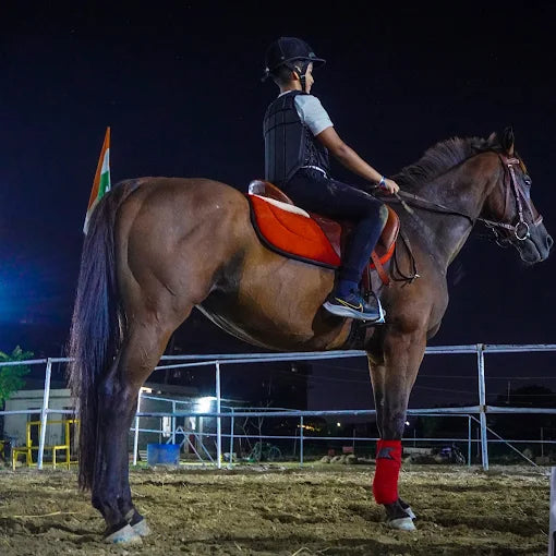 Horse Riding at Caffe Cavallo Sector 82 Faridabad