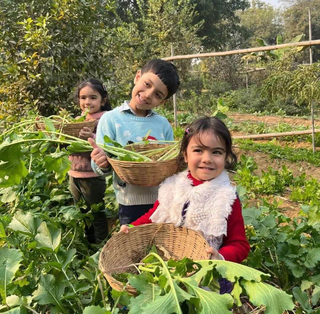 Nature Scrapbooking for Kids at Farmus Farms (26 Apr) | Sector 67 Gurgaon - ActivityKidz