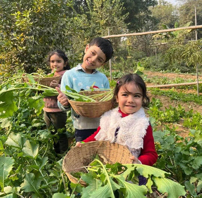 Nature Scrapbooking for Kids at Farmus Farms (26 Apr) | Sector 67 Gurgaon - ActivityKidz