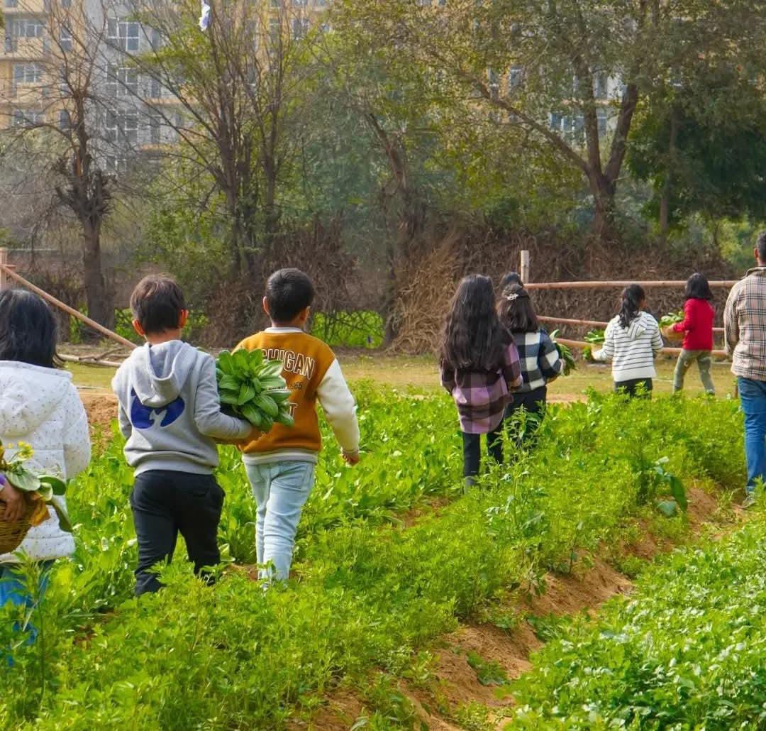 Farmus Animal Petting & Strawberry Picking (29-Dec to 5-Jan) | Sector 67 Gurgaon