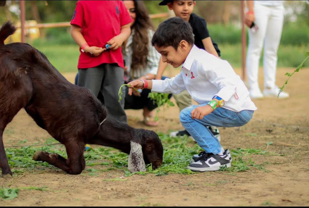 Farmus Animal Petting & Strawberry Picking (29-Dec to 5-Jan) | Sector 67 Gurgaon