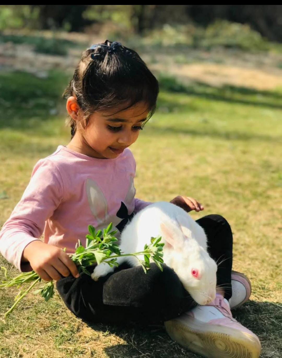 Farmus Animal Petting & Strawberry Picking (29-Dec to 5-Jan) | Sector 67 Gurgaon