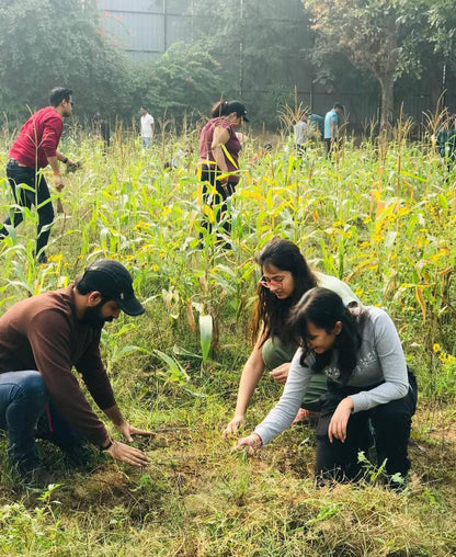 Farmus Animal Petting & Strawberry Picking (29-Dec to 5-Jan) | Sector 67 Gurgaon