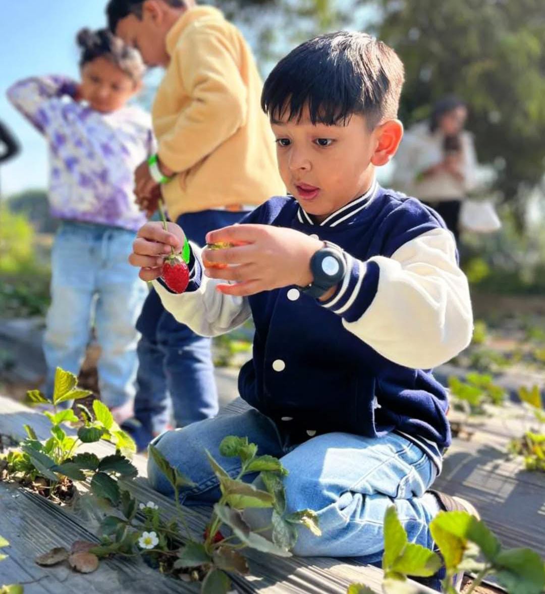 Farmus Animal Petting & Strawberry Picking (29-Dec to 5-Jan) | Sector 67 Gurgaon