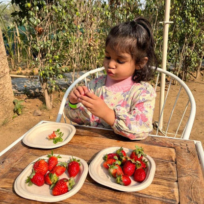 Farmus Animal Petting & Strawberry Picking (29-Dec to 5-Jan) | Sector 67 Gurgaon