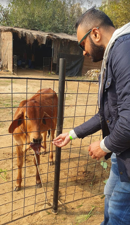 Farmus Animal Petting & Strawberry Picking (29-Dec to 5-Jan) | Sector 67 Gurgaon