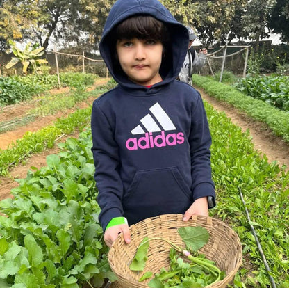 Farmus Animal Petting & Strawberry Picking (29-Dec to 5-Jan) | Sector 67 Gurgaon