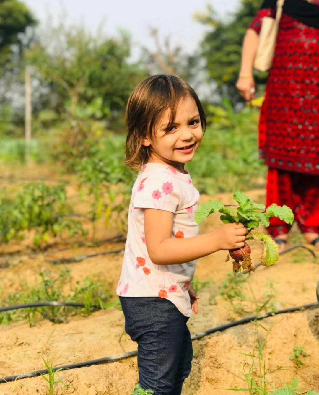 Farmus Animal Petting & Strawberry Picking (29-Dec to 5-Jan) | Sector 67 Gurgaon