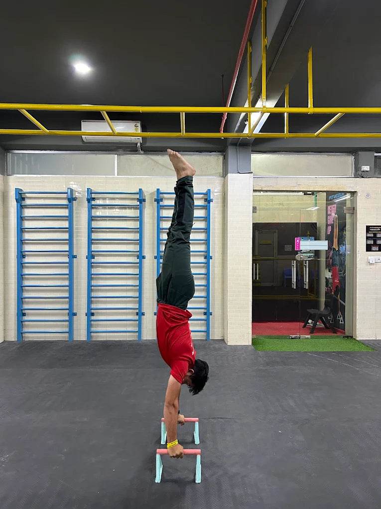Fitvigour Academy for Gymnastic Parkour Calisthenics Yoga & Meditation | Sector 49 Gurgaon - ActivityKidz