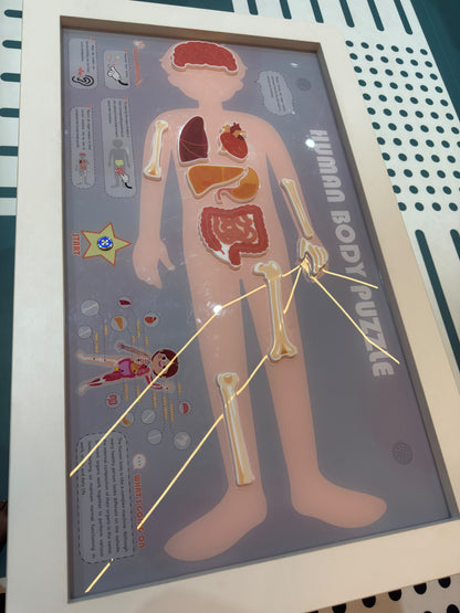 An interactive human body puzzle for children, featuring removable organ and bone pieces. The puzzle is set up on a table with instructions and a "Start" button.