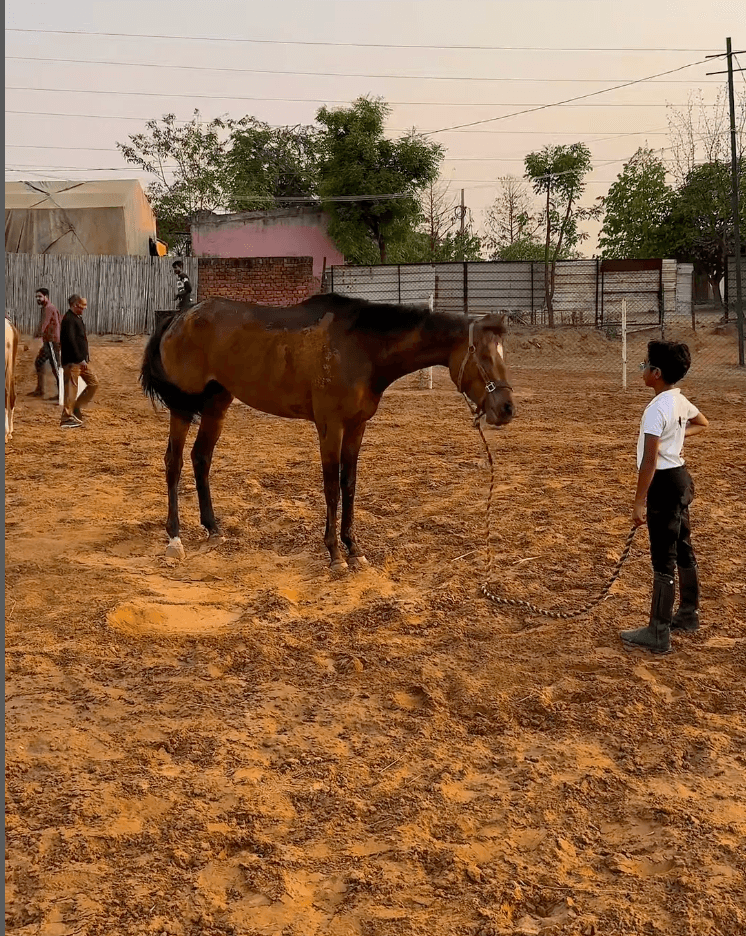 Gurgaon Horse Club