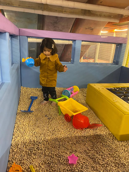 Higgley Piggley PlayZone | Sector 4 Greater Noida