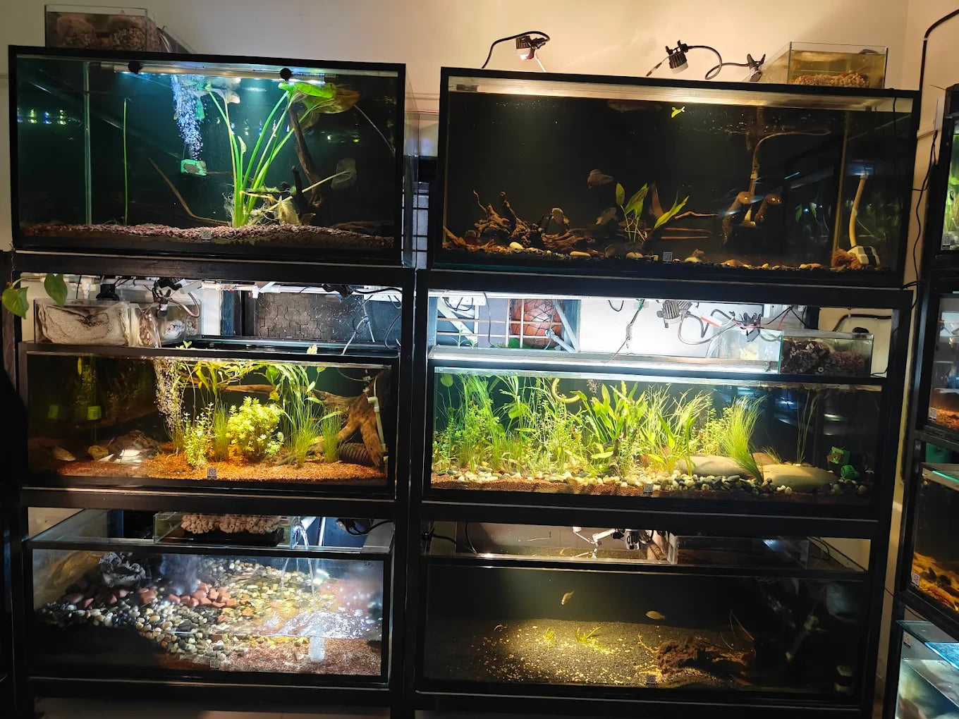 Kraken Habitat Wildlife Experience | Pimpri-Chinchwad Pune