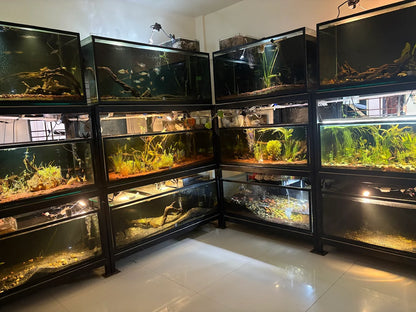 Kraken Habitat Wildlife Experience | Pimpri-Chinchwad Pune
