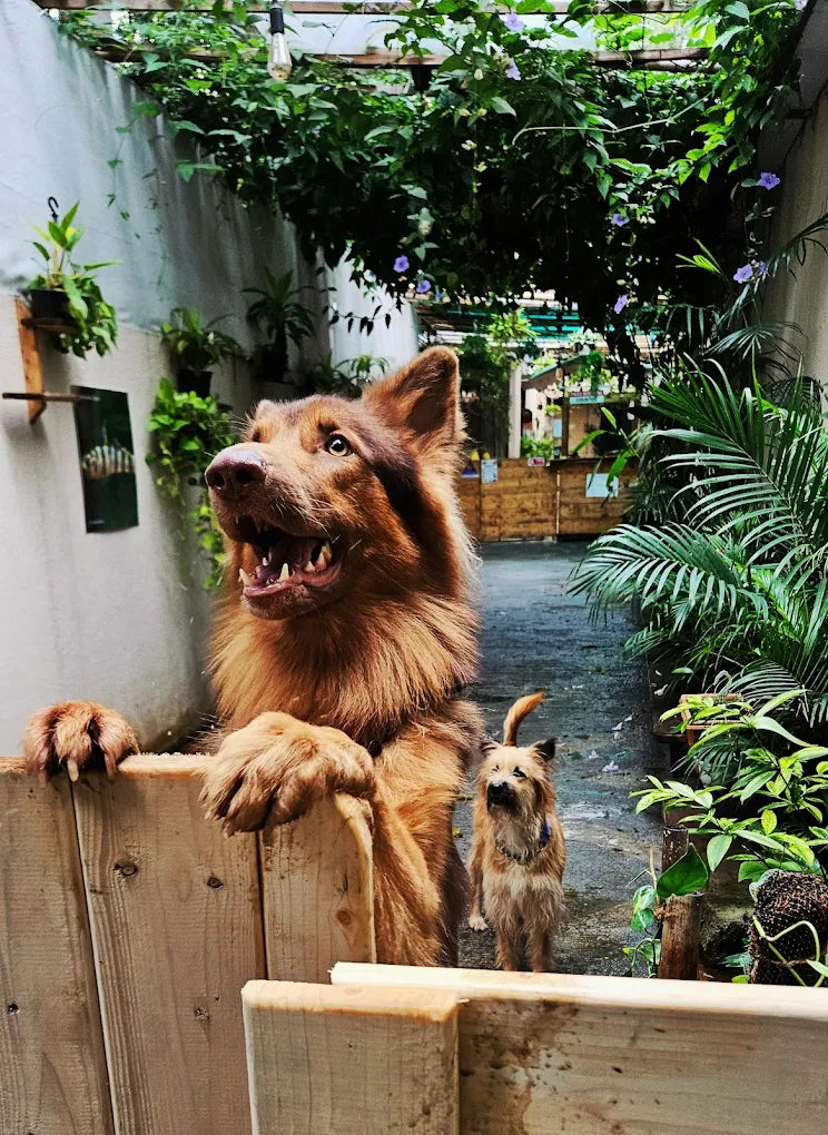 Kraken Habitat Wildlife Experience | Pimpri-Chinchwad Pune