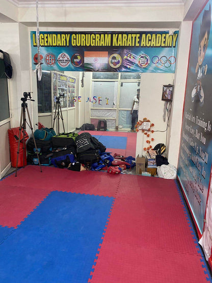 Legendary Gurgaon Karate Classes | Sector 23A Gurgaon - ActivityKidz