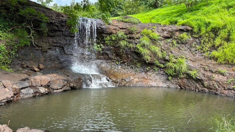 Mahuli Farms