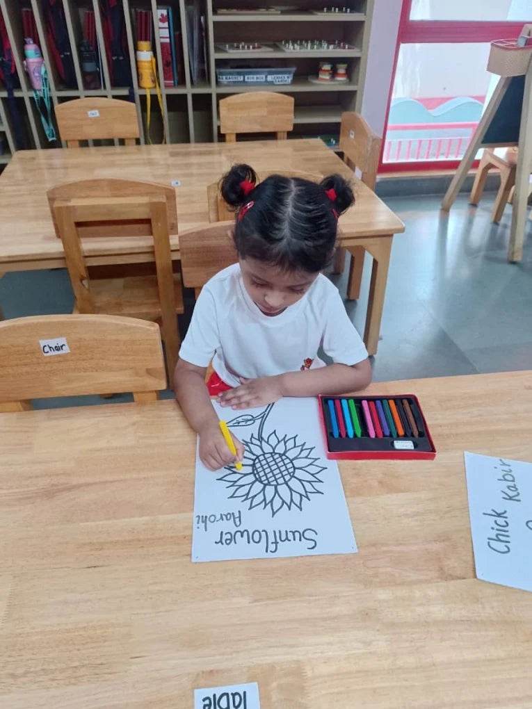 Maple Bear Canadian Preschool | DLF Phase 1 Gurgaon - ActivityKidz