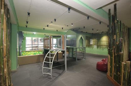 A colorful indoor playground with a ball pit, climbing wall, and slide, decorated with bamboo.