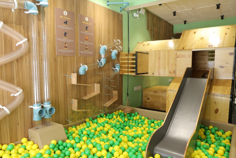 A ball pit with a slide and tubes for children to play in.
