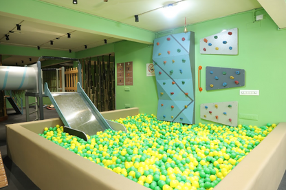A children's indoor playground with a ball pit, slide, and climbing wall.