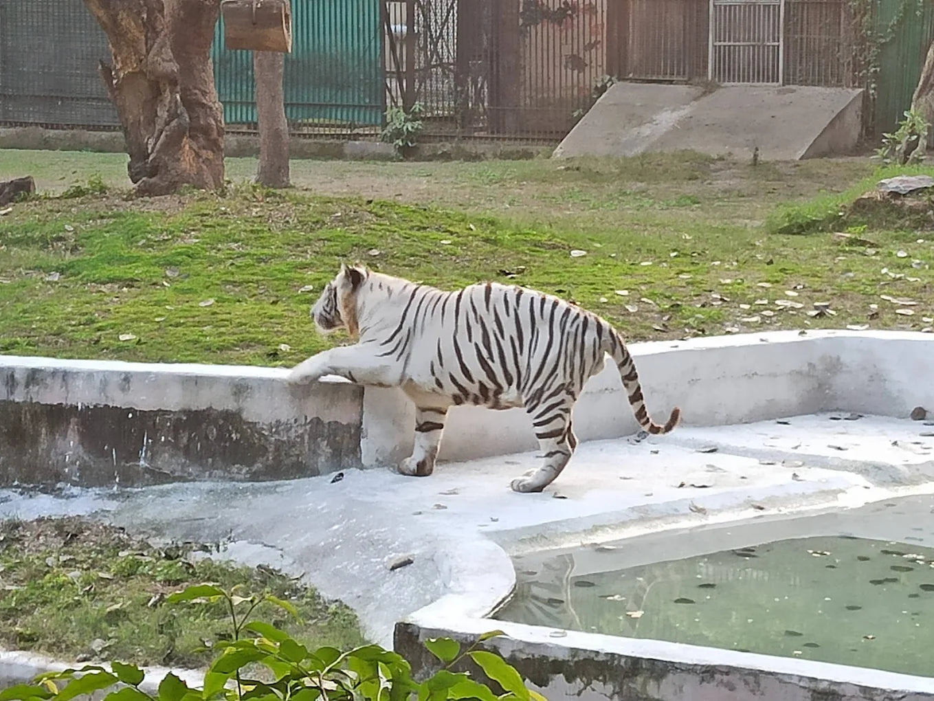National Zoological Park Pragati Maidan Delhi