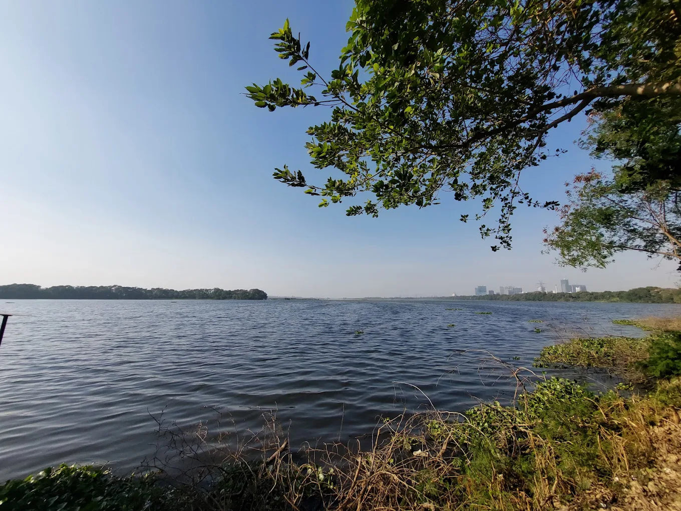 Okhla Bird Sanctuary