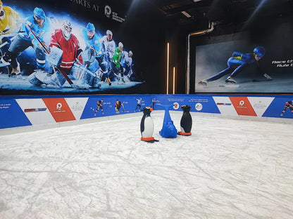 P52 Ice Skating Arena | Wakad Pimpri-Chinchwad Pune