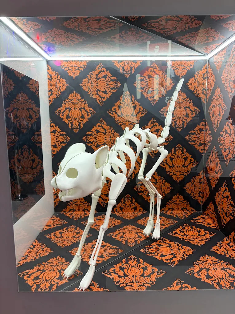 Paradox Museum Immersive Experience | Fort South Mumbai