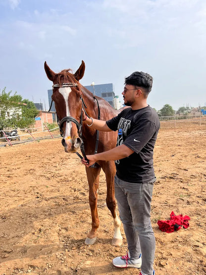 Passion Horse Riding | Near Bani Mandir Behrampur Gurgaon