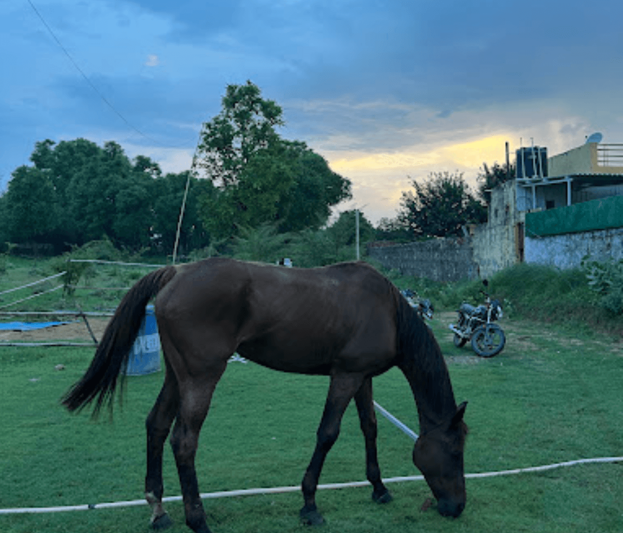 Passion Horse Riding 