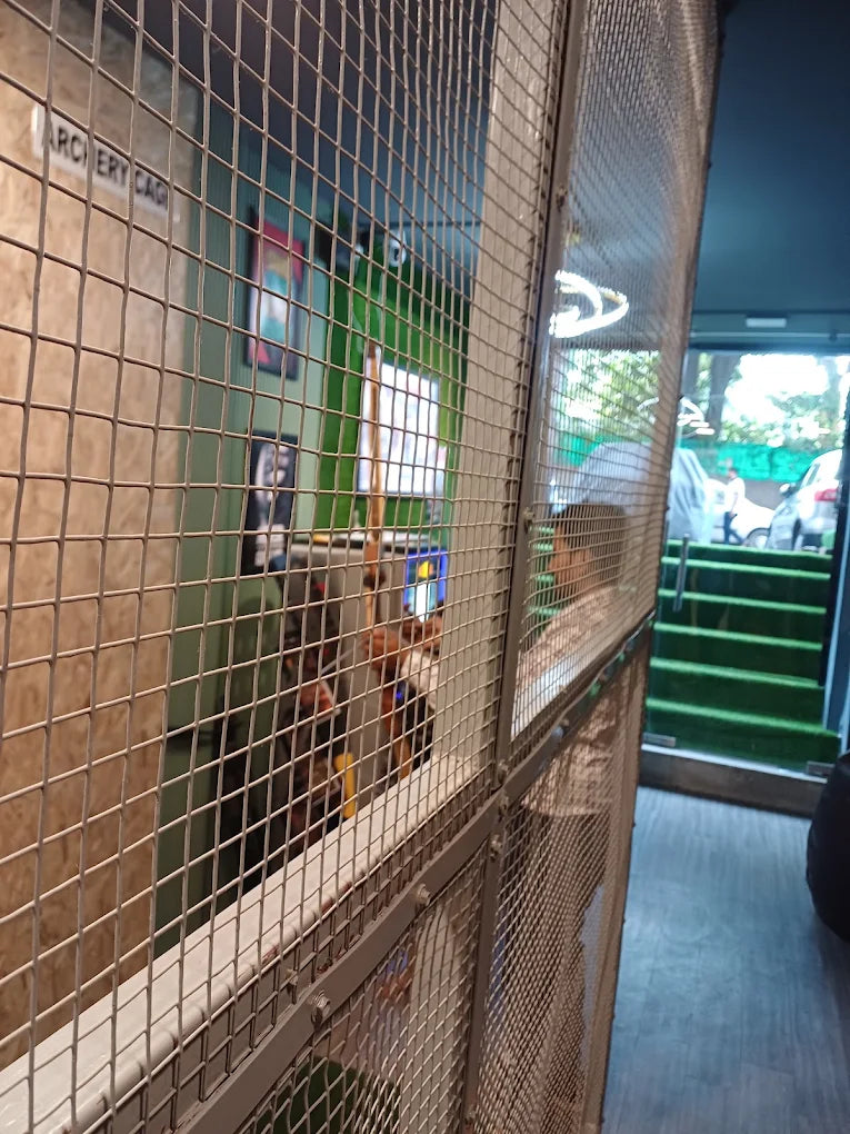 An archery cage with people visible inside, and green steps leading to an exit.