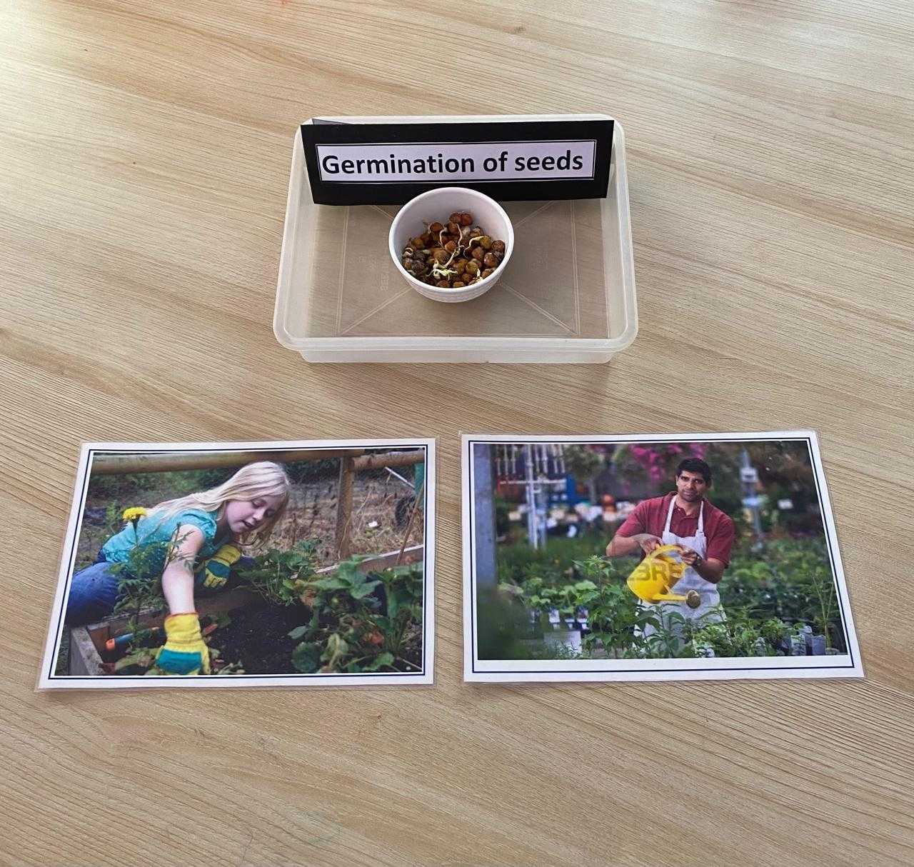 Ragersville Preschool and Daycare | Sector 51 Gurgaon