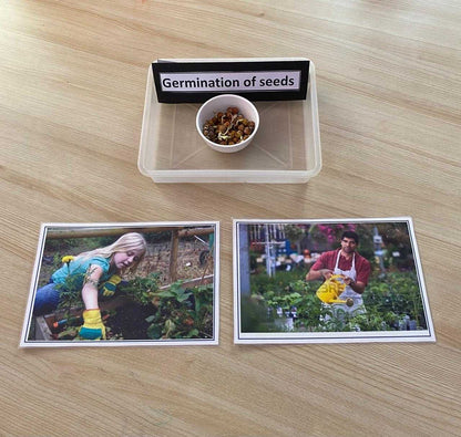 Ragersville Preschool and Daycare | Sector 51 Gurgaon