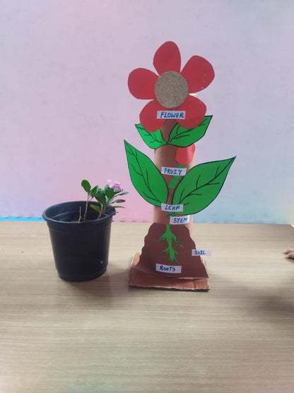 Ragersville Preschool and Daycare | Sector 51 Gurgaon