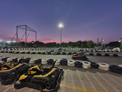 Go-karts race on a track at dusk, with a purple and pink sky overhead.