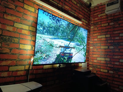 TV screen displaying a nature scene in a room with brick walls.