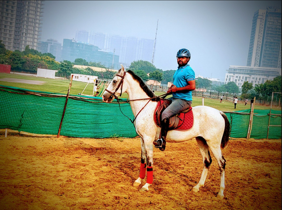 Royal Horse Riding Near SR Nursery Sector 64 Gurgaon