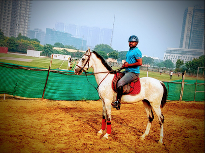 Royal Horse Riding Near SR Nursery Sector 64 Gurgaon