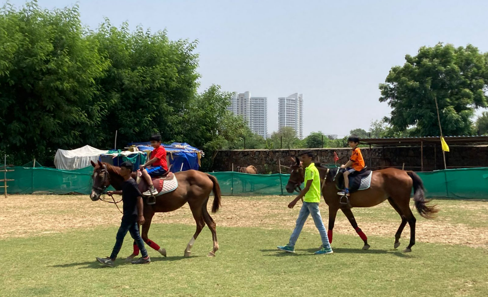 Royal Horse Riding Near SR Nursery Sector 64 Gurgaon