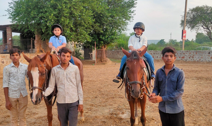 Royal Horse Riding Near SR Nursery Sector 64 Gurgaon