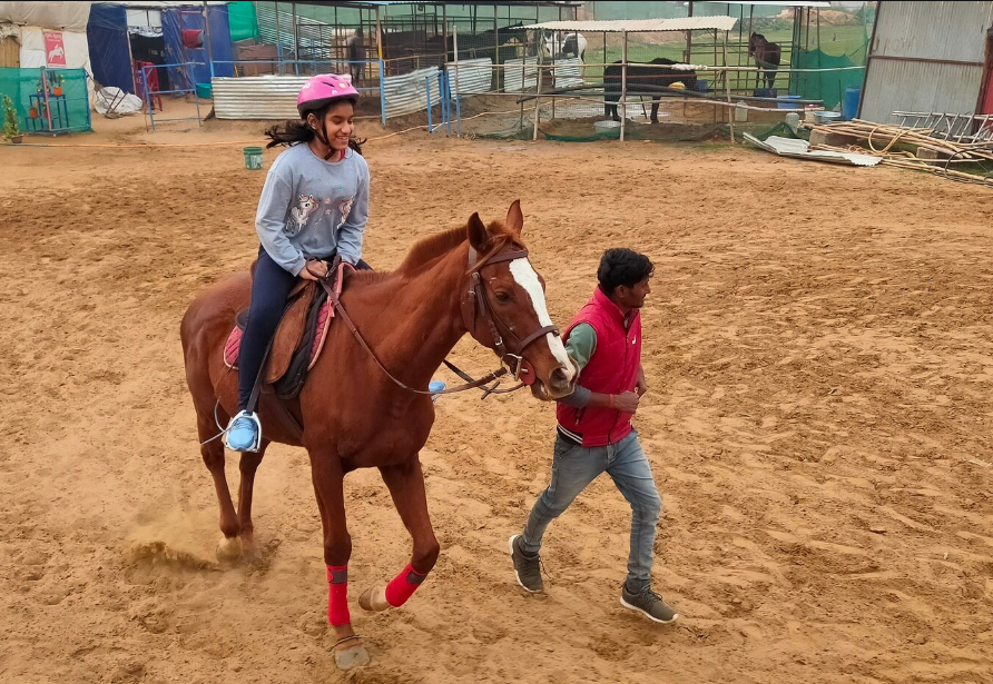 Royal Horse Riding Near SR Nursery Sector 64 Gurgaon
