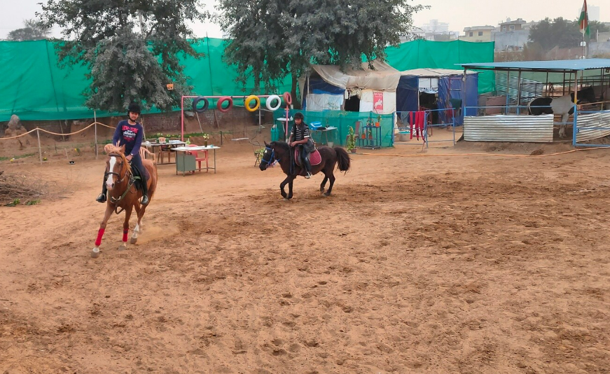 Royal Horse Riding Near SR Nursery Sector 64 Gurgaon