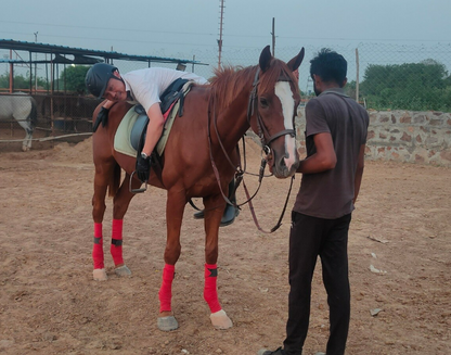 Royal Horse Riding Near SR Nursery Sector 64 Gurgaon